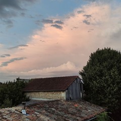 Barn owl calling in nest at night (Charante, France)