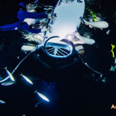 Best Night Manta Ray Adventure Tours Review