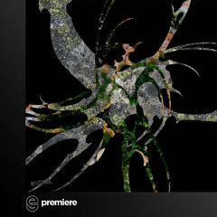 Premiere: Lostlojic - Anomaly - Mystictrax