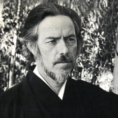 Alan Watts - What Happens If You Stop Talking To Yourself