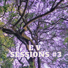 ELEKTRONIK VALLEY SESSIONS VOL.3
