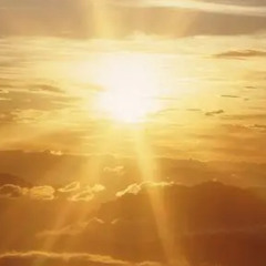 Sommer , Sonne , Sonnenschein......2025-06-28