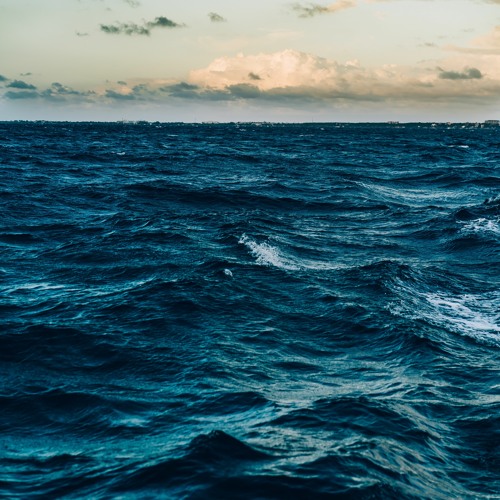 LOFI HOUSE BLEACH TAPE