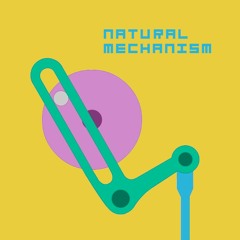 Natural Mechanism (Original Mix)