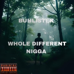 Whole Different Nigga