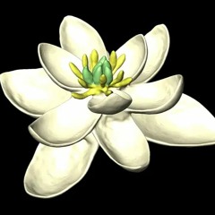 #TIBB (The In Between Binaries) --- SynTalk