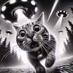 Electro Bass Mix Final 09.01.2025