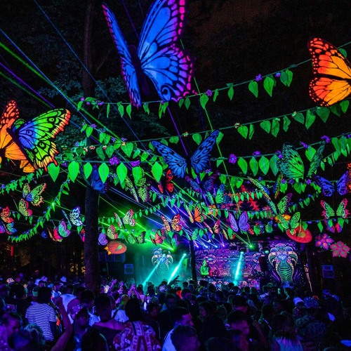 TRIBE OF PROG (PROG)