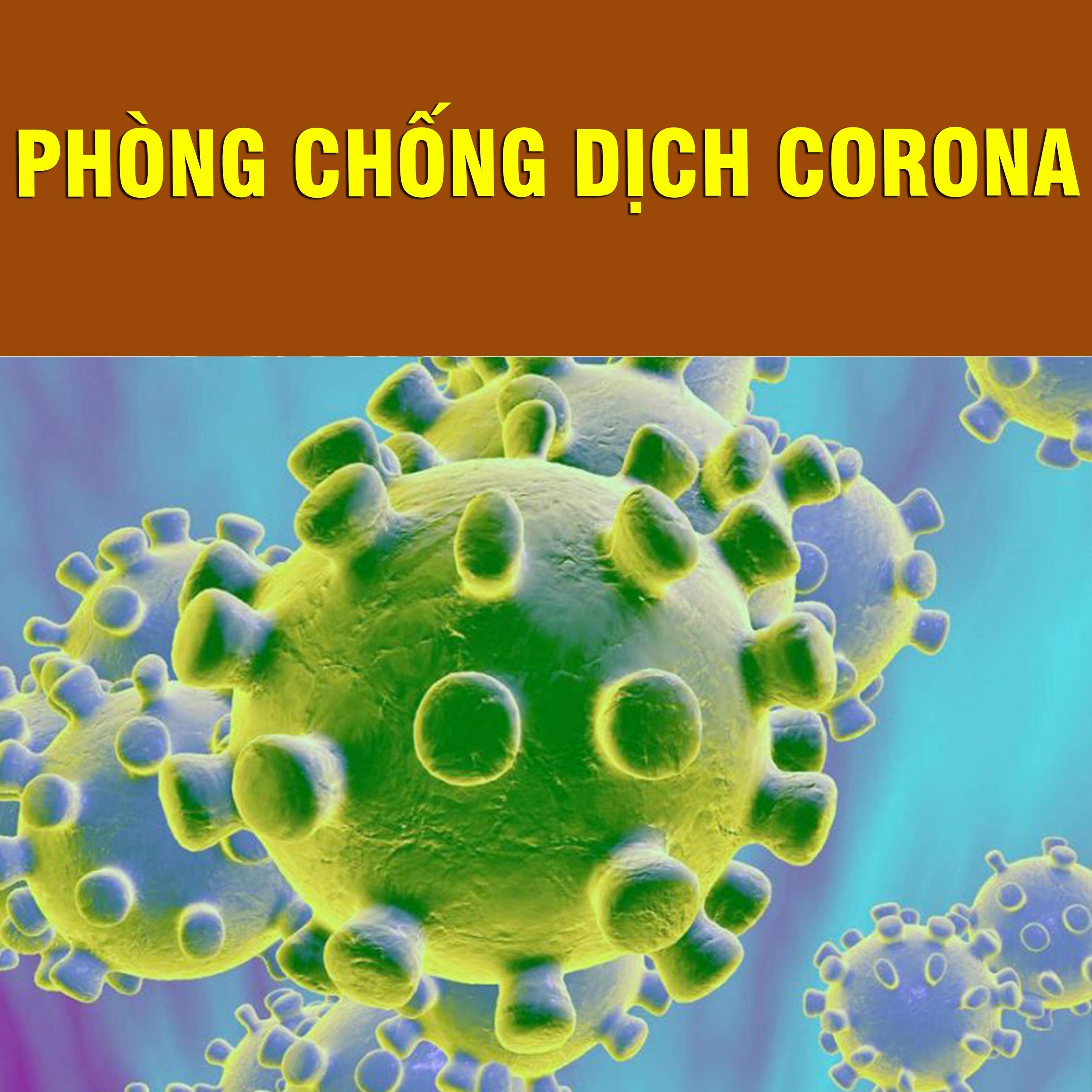 Thích Bảo Nguyên