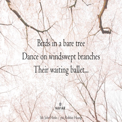 halF windswepT [naviarhaiku476]