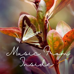 Music From Inside