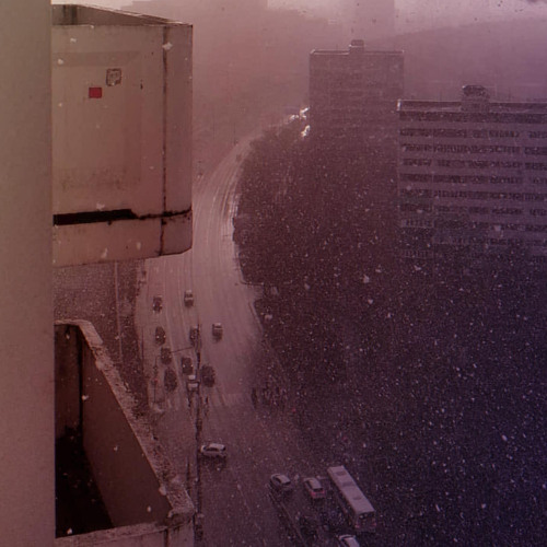 Lưu Bút Ngày Xanh | Lofi