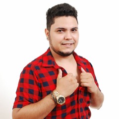 Zé Luccas E Vittin PV - Tchau Pra Quem Namora [Radio Edit]