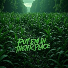 Put em in Their Place - Mobb Deep (PhatBeats Flip)