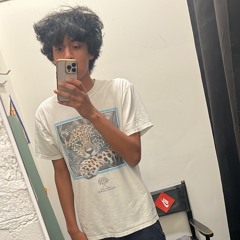 skechers (1jaylon)