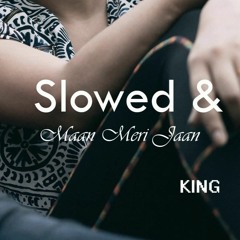 King   Mix Slowed & Reverb   Maan Meri Jaan