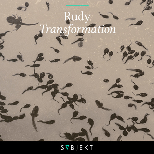 Transformation (Kris Davis Extended Remix)