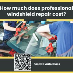 How much does professional windshield repair cost?
