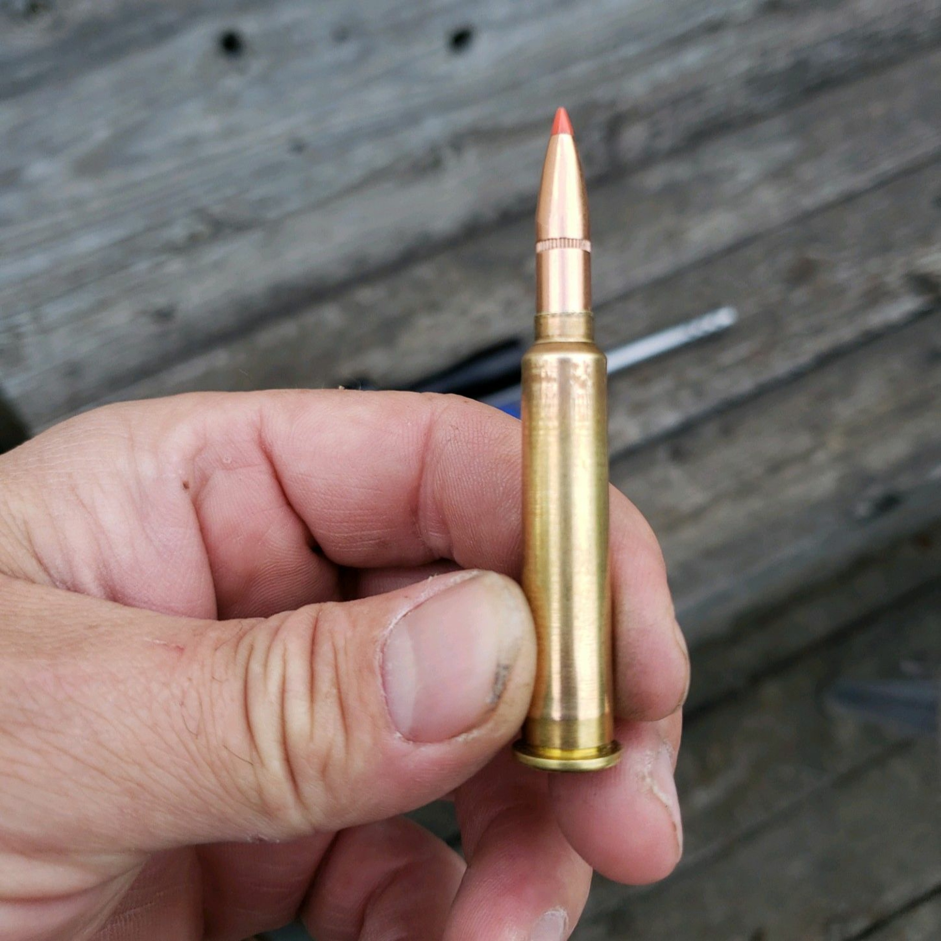 Best Deer Cartridge