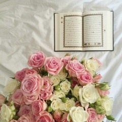 سورة هود | عاصم بني خالد