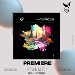 PREMIERE: Stereo Underground - Love Story (Solee Remix) [Future Romance]