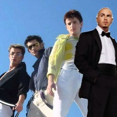 Pitbull x O-Zone - Numa Numa Want Me