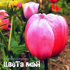 Цвета мая