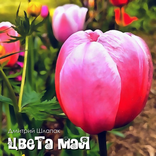 Цвета мая