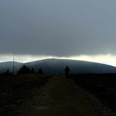 a warm place (nine inch nails cover)