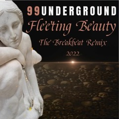Fleeting Beauty - The Breakbeat Mix