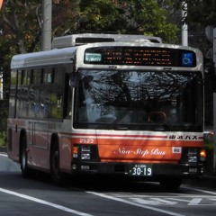 ナイト・ウブ・ナイツ【バス】