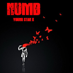 YoungstanX x Numb
