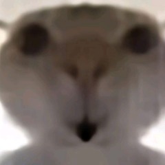 yêu em qua dòng tin nhắn remake-quacbemine