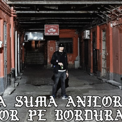 Suma anilor pe bordură [prod. Nimeni Altu' și Ortega]