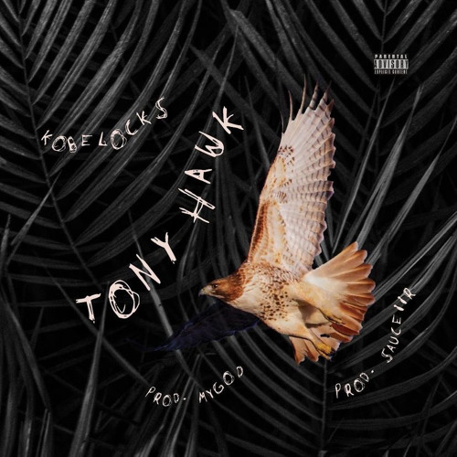 Tony Hawk ! (P. mygod + sauceiir)