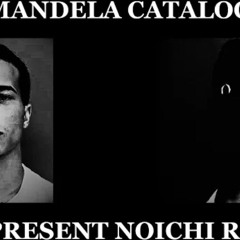 Omnipresent Noichi Remix but its The Mandela Catalogue