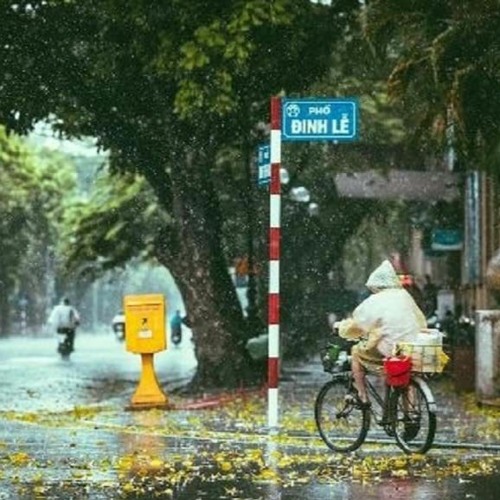 mua' mua ngau nam canh. (mat day e)