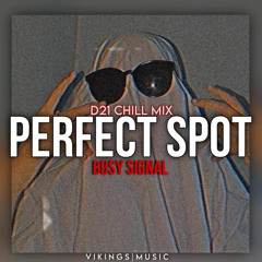 Perfect Spot (D21 Chill-Remixx)(Vikings Music)