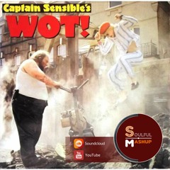 Captain Sensible - Wot (SoulfulMashup)