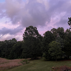 im going to kill myself (this is not a joke)