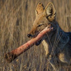 Ghost of Soulja Slim Freestyle - Skipp Coon + PyInfamous