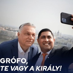 pergeto grofo