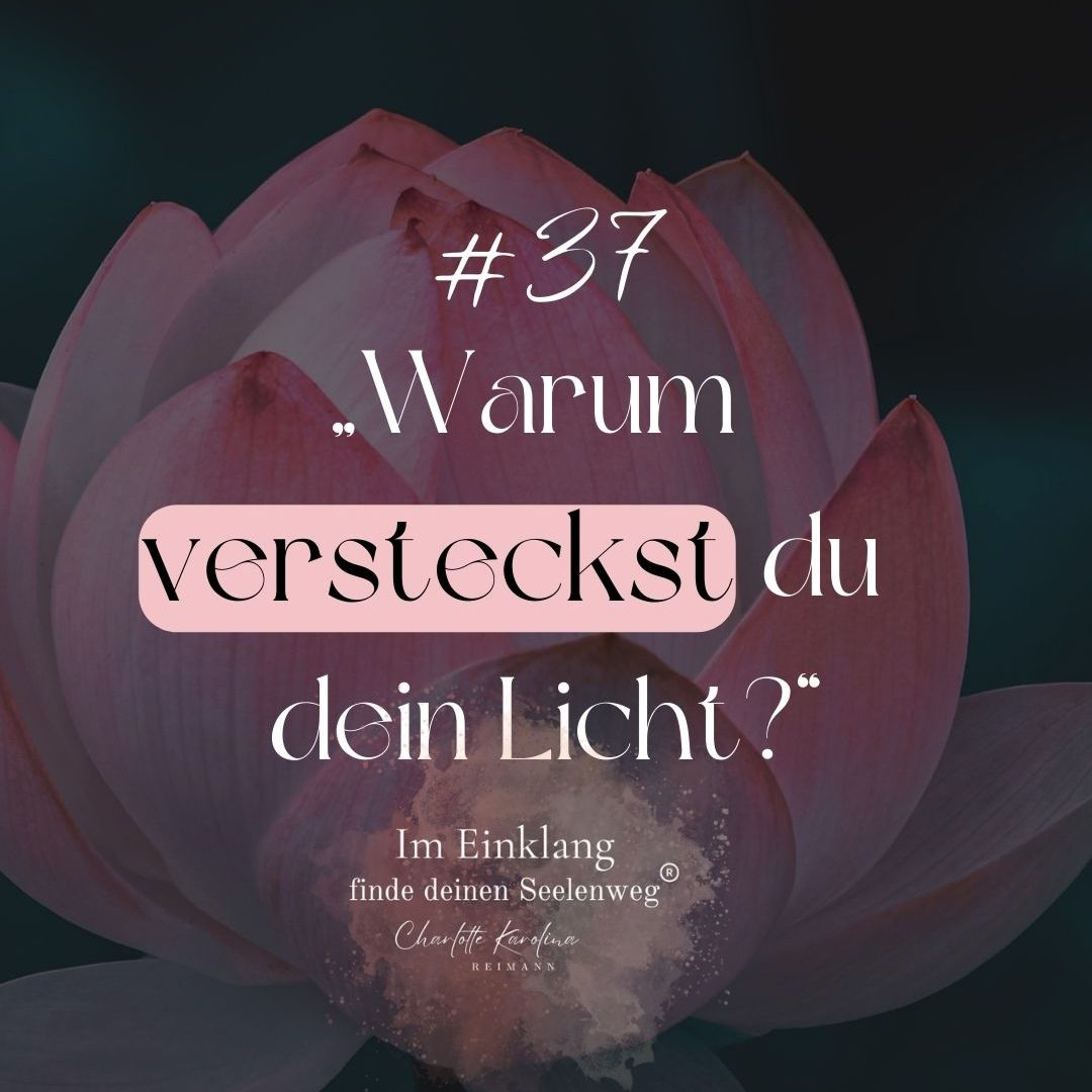 Im Einklang - finde Deinen Seelenweg