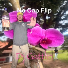 no cap flip dj gattlin (smokkestaxkk n polvwbeats)