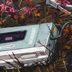 cassette weve