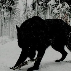 zeus ~ slowed