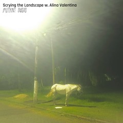Scrying the Landscape w. Alina Valentina [10.06.25]