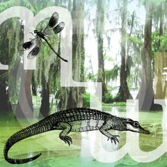 Welcome In The Bayou