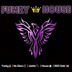 Funky & Disco House Mix  👑 2023 Gold Trax 👑