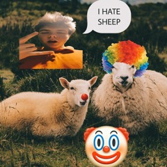 SHEEP